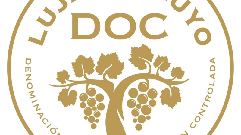 D.O.C. Luján de Cuyo: nuevas cosechas y vinos Distristales.